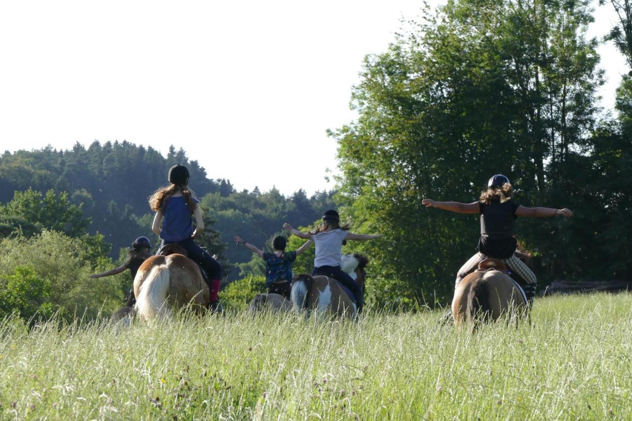 Farm stay Muehlthal